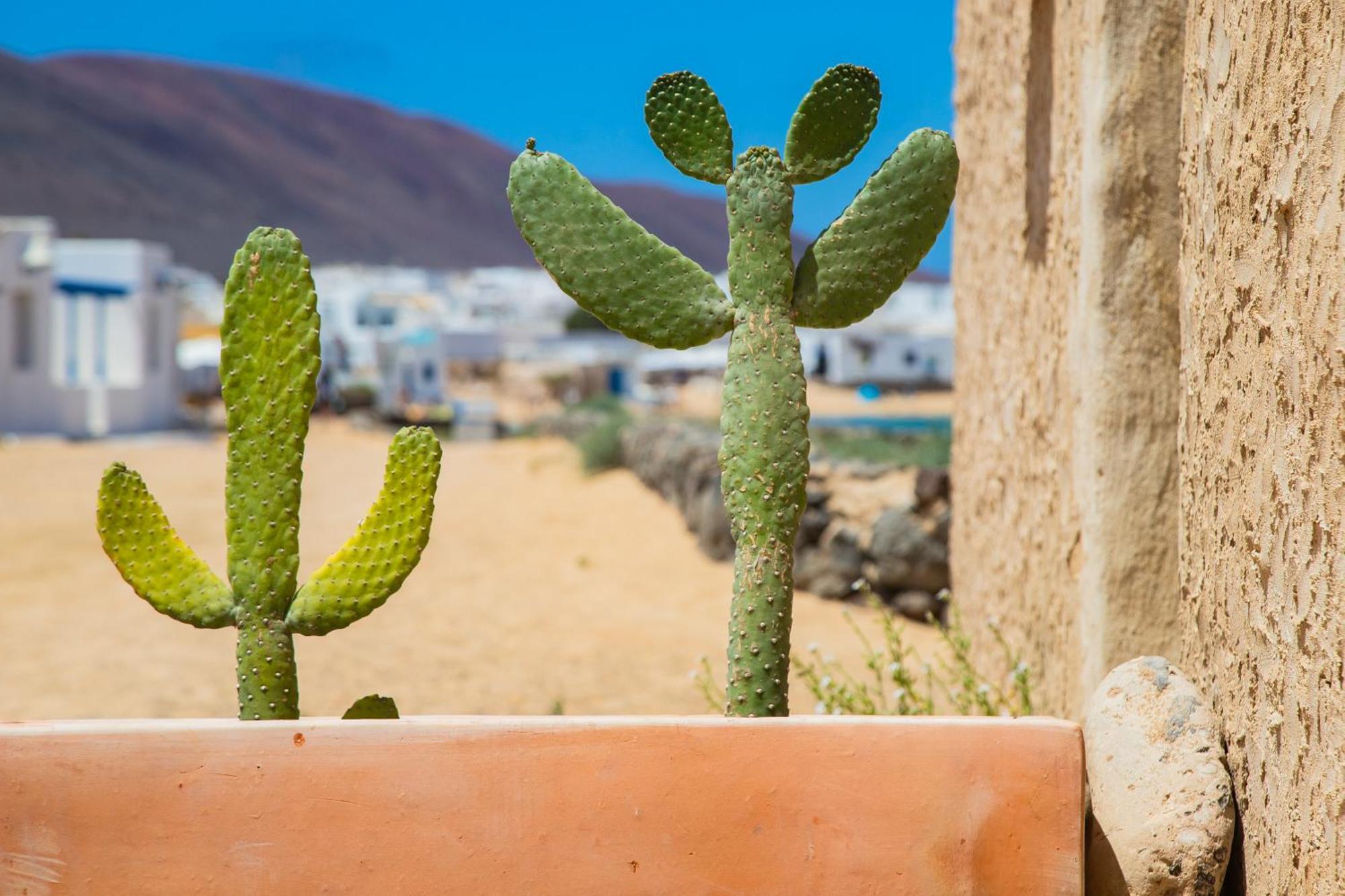 קלטה דה סבו Eslanzarote La Duna House, Wifi, Sea Views מראה חיצוני תמונה